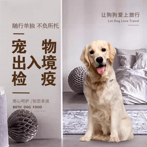 武汉宠物托运到哥伦比亚猫狗宠物入境规定和