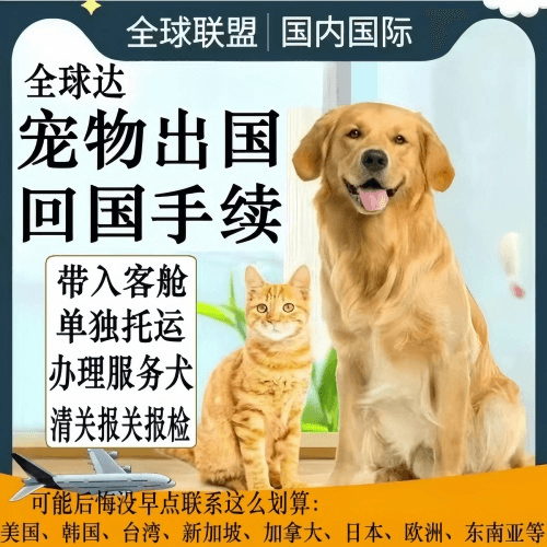 武汉宠物托运到柬埔寨宠物入境规定和要求