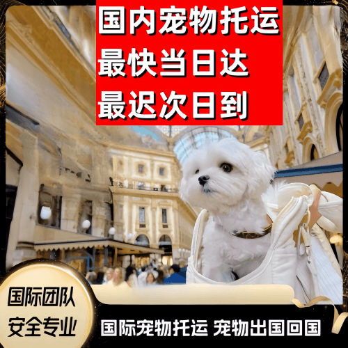 武汉到澳大利亚（澳洲）宠物入境规定和要求