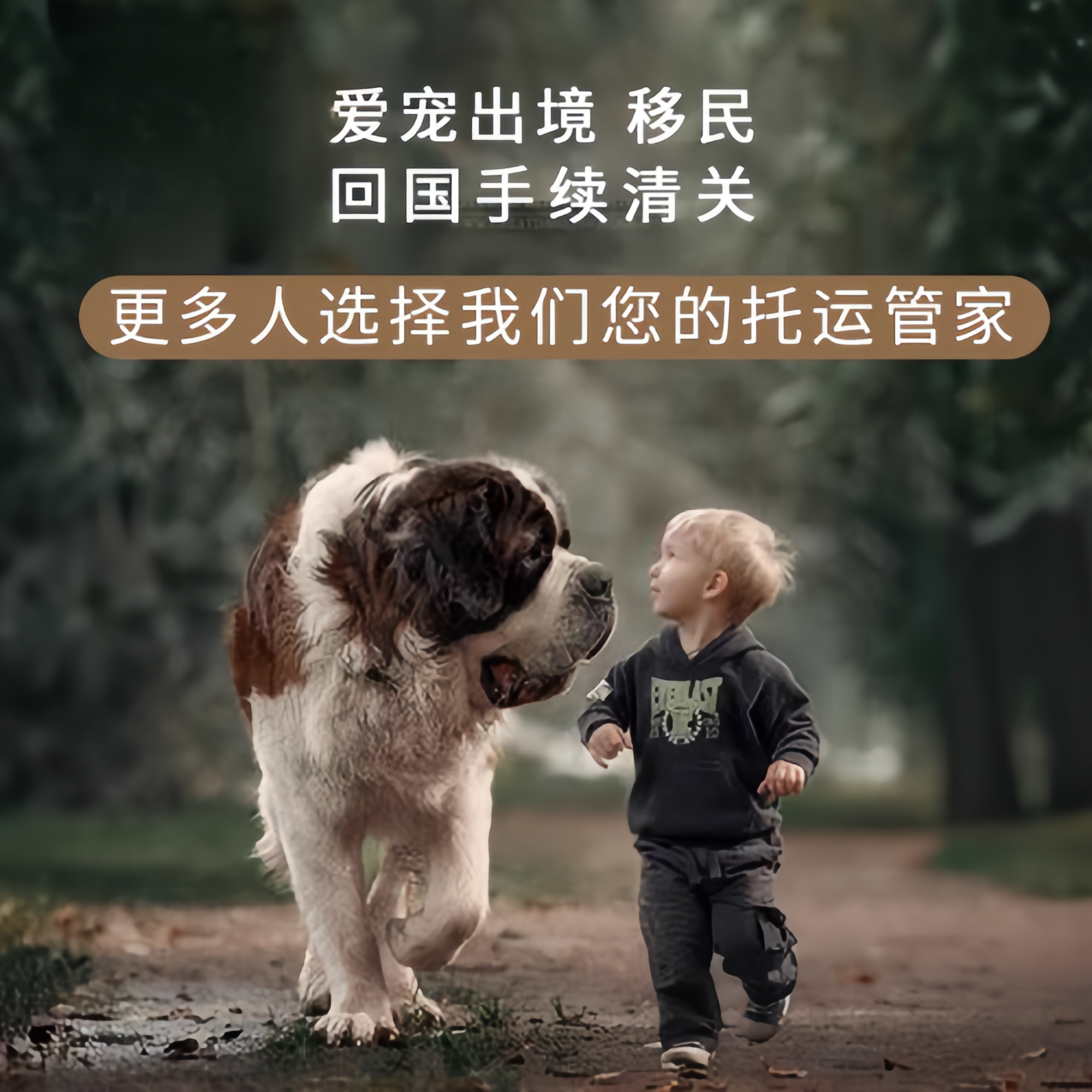满财武汉宠物全球达宠物托运在遵守入境目的地政策的条件
